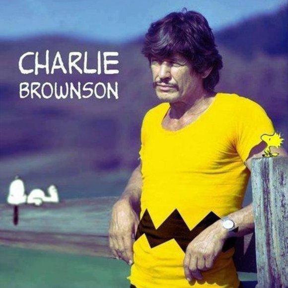 Just for Fun - Picture 15 of 16